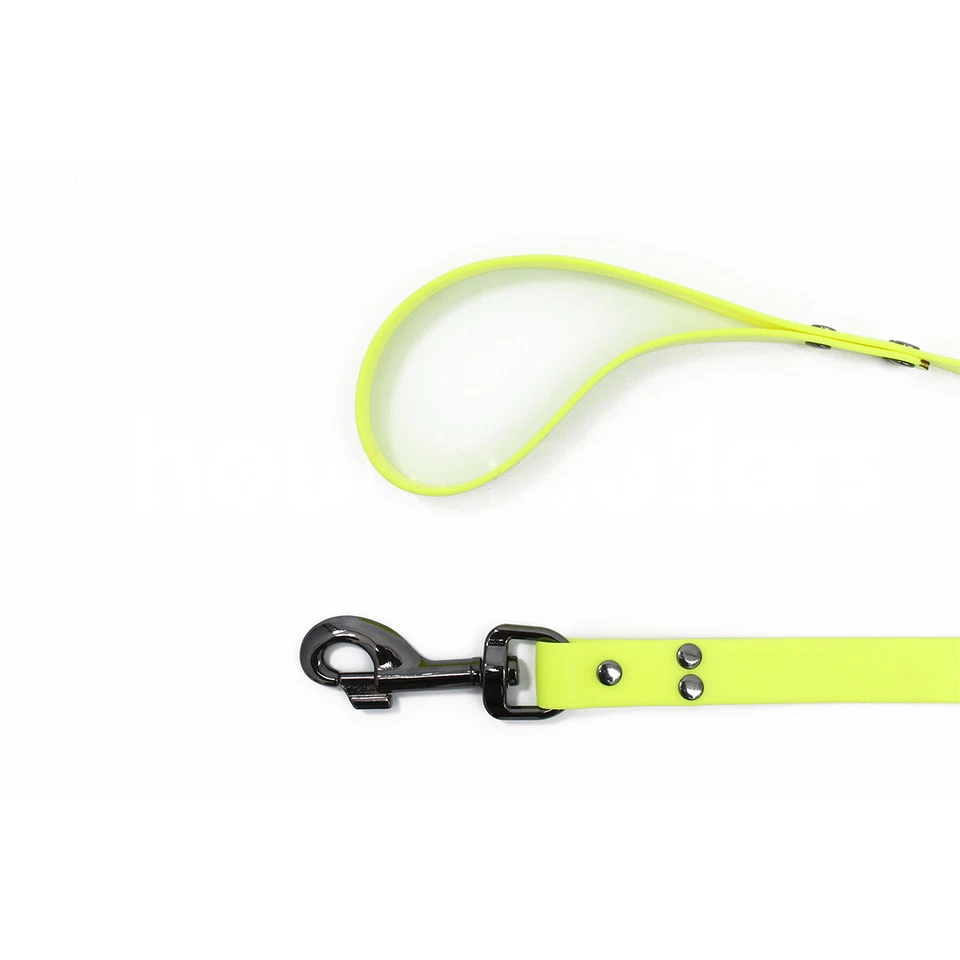 Correa para pasear perros de 2 cm * 1,5 m - a prueba de masticación, correa impermeable para perro pequeño para cachorro Foto 2 de 2