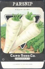 Vintage Seed Packet Empty Fredonia New York NY 1920's Parsnip Vegetable Tubular