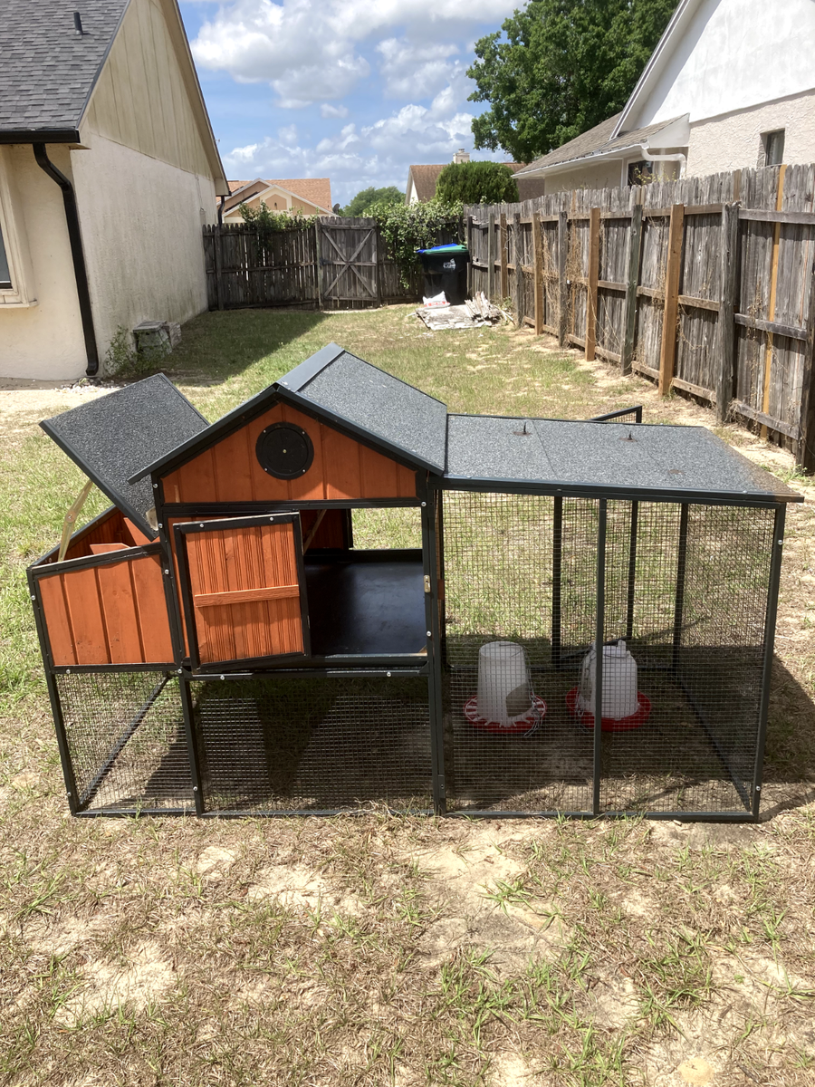 Producer's Pride Sentinel Chicken Coop, 6 Chicken Capacity | eBay