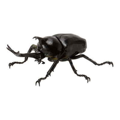 Bandai Gashapon Mini Collection Figure Beetle 01 Japanese Rhinoceros Beetle Walk