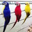 thumbnail 2 - 25CM Fake Parrot Artificial Birds Model Outdoor Home Garden Lawn Tree Decoration