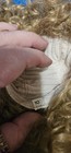 Curly Size 10" Replacement Wig — photo 1