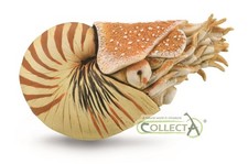 CollectA Nautilus Pompilius | Collectable Animal Figurine Roleplay Toy