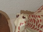 Bild 3 von 7