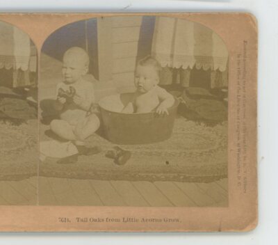 Tall Oaks from Little Acorns Grow Children Genre Kilburn Stereoview