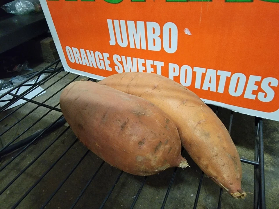 10 libras de ñames de batatas frescas Joya 🍠 ~ Orgánicos ~ CULTIVADOS LOCALMENTE EN CALIFORNIA Foto 4 de 4