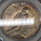 1923-D Peace Silver Dollar CAC/CACG AU Details *Rainbow Toning Reverse*