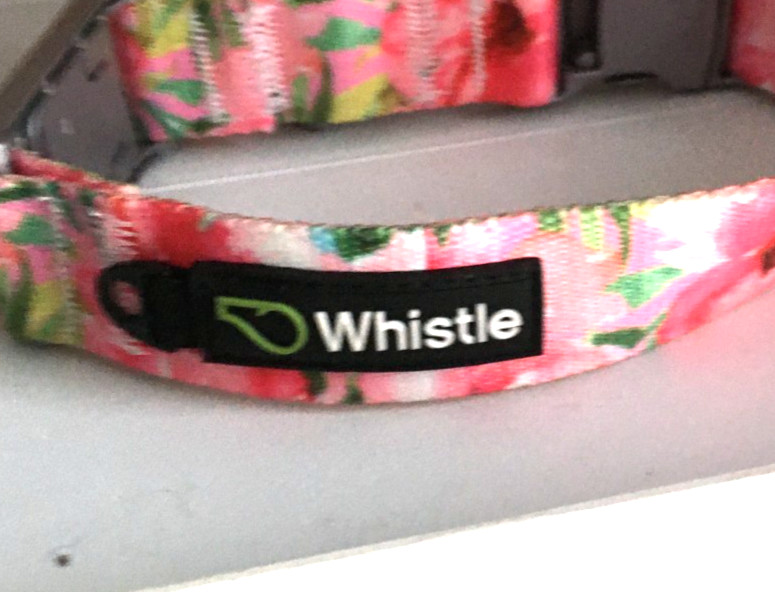 WHISTLE TWIST AND GO DOG COLLAR, SIZE S floral pink