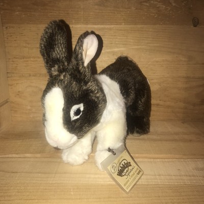 webkinz signature dutch bunny