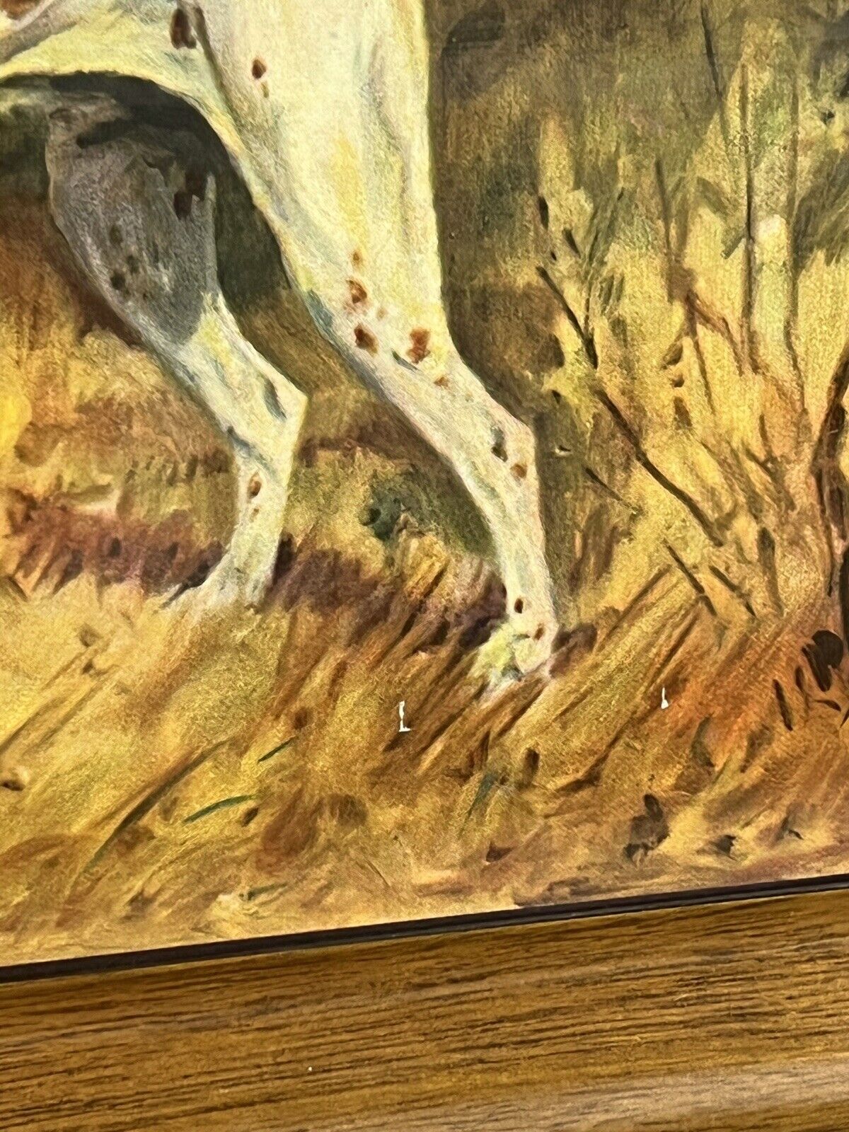 Picture 14 of 17