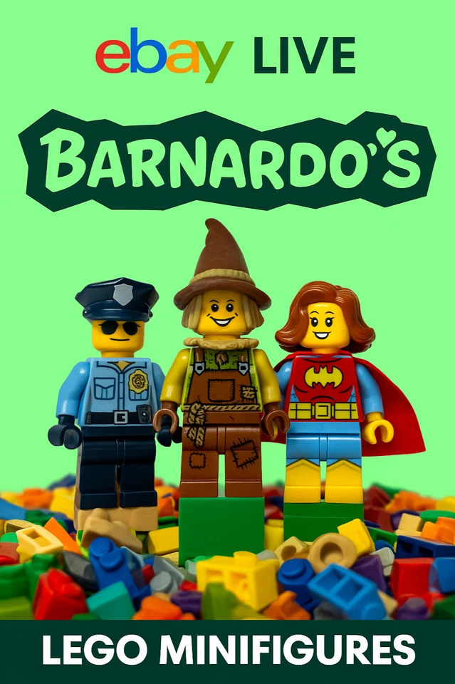 Lego Sets and Mini Figures Barnardo's Charity Seller Comi-Con Xmas RARE's