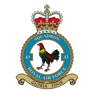 No. 43 Squadron RAF badge patch Self Adhesive Vinyl Sticker