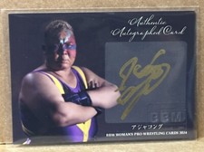Aja Kong 2024 BBM Woman’s Pro Wrestling Secret Legends Autograph /30 RARE SP AEW