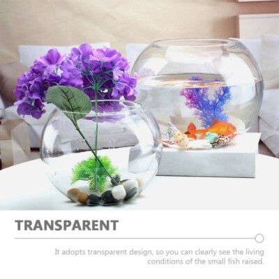 Ambola In Vetro Per Pesci Da 16 Cm - Boccia Per Pesci Rossi, Centrotavola O Decorazione