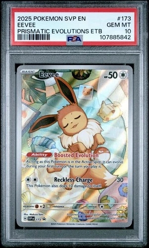 2025 POKEMON SVP EN-SV BLACK STAR PROMO #173 EEVEE PSA 10