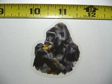 GORILLA EATING 2 BANANAS SMALL STICKER DECAL WILDLIFE COLORFUL ZOO