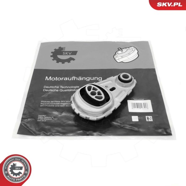 Esen SKV Motorlager Hinten Unten Passend FüR Renault Grand Megane ScÉNic-image