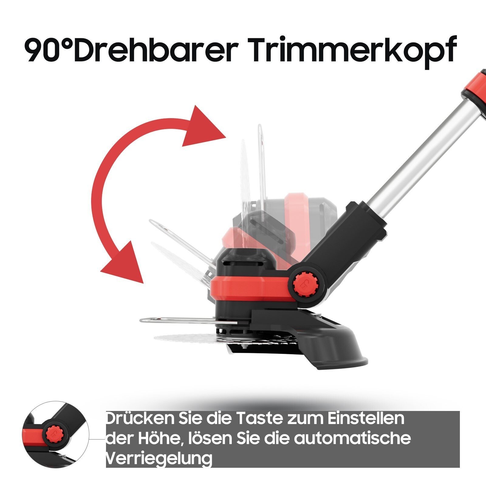 Bild 6 von 8