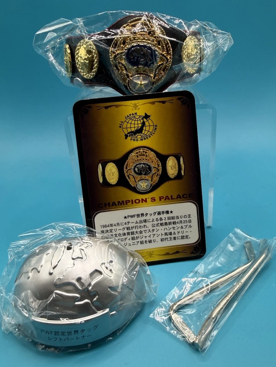 【Miyazaki Man】WWEトイベルト 2点セット プラスチック製 Las mejores ofertas en Figuras de acción deportiva WWE Accesorios