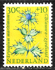 HICK GIRL-MINT NETHERLANDS STAMP   SC#B347  1960  FLOWER ISSUE   C781