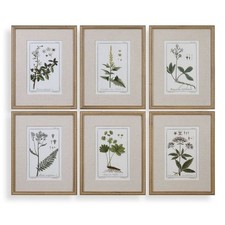Uttermost UT-33651 Green Floral Botanical Study Prints Set of 6