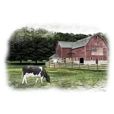 New Barn & Cows   Sweatshirt/Longsleeved  Sizes/Colors                  