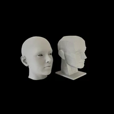 2 Pack-Planar and Human head, color silver, 5" inches 12.7 cm, Learn the Planes