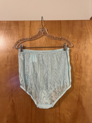 Vanity Fair Brief Panties Nylon Vintage 13001 Azure Mist Lace Panty NWT Size 8 - Picture 9 of 10