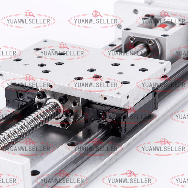 Linear Rail Module Cross Sliding Table SFU1605 Heavy Load Manual ...