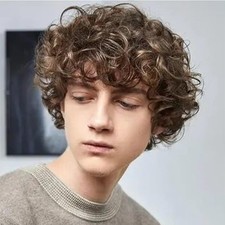 Mens Afro Brown Short Wigs 70s 80s Rocker Curly Wig Kinky Synthetic Wigs for ...