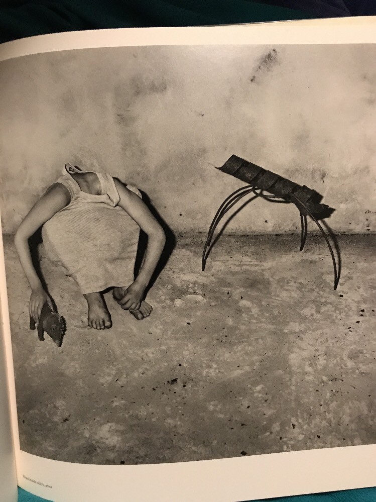 Shadow Chamber by Roger Ballen (2009, Hardcover DJ) Art Book