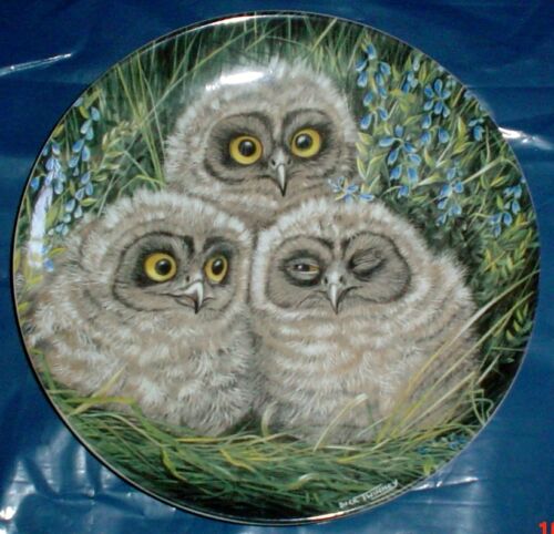 Wedgwood Collectors Plate SHORT EARED OWL CHICKS - THE BABY OWLS - Afbeelding 1 van 1