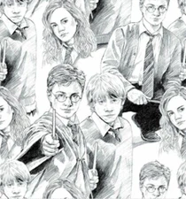 SALE HARRY POTTER HOGWART WIZARDING WORLD LINE ART 100% Cotton Fabric SOLD BTHY