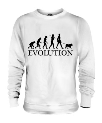 CANAAN DOG EVOLUTION OF MAN UNISEX PULLOVER HERREN DAMEN DAMEN HUNDELIEBHABER GESCHENK
