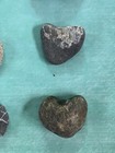 12 Heart Beach Stones Anniversary Love Natural Surf Sand Tumbled Rocks — photo 5