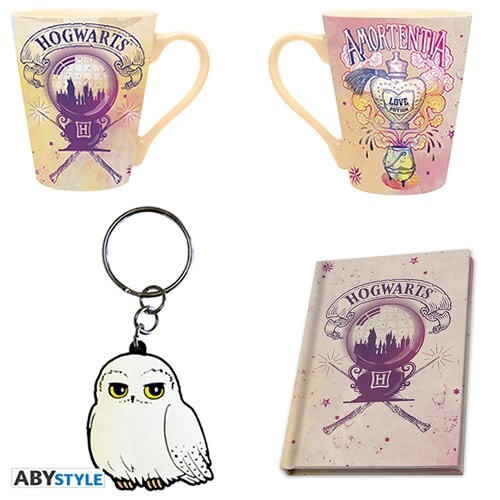 BRAND NEW Harry Potter Gift Set Includes Coffee Tea Mug Notebook and Keychain #2