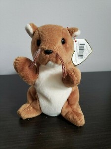 Free Shipping For 2 Pieces Ty Nuts Beanie Babies Errors 1996 Style 4114 Best Prices Fast Delivery Nivaldobuenoimoveis Com Br Free Shipping For 2 Pieces Ty Nuts Beanie Babies Errors 1996 Style 4114 Best Prices Fast Delivery Nivaldobuenoimoveis Com Br