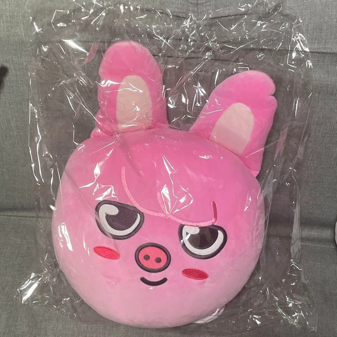 Stray Kids SKZOO CHANGBIN DWAEKKI OfficialPlush Cushion JYP Three 