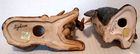 Bild 7 von 7