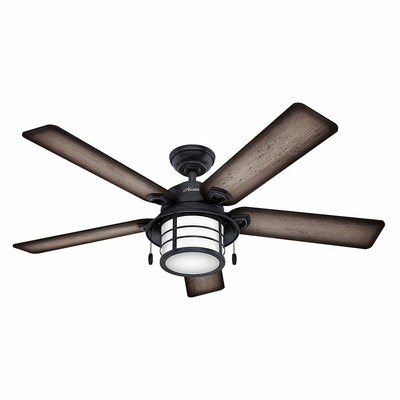 Hunter Indoor Outdoor Ceiling Fan With Light And Pull Chain
