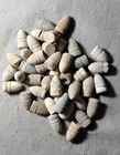 45 Civil War Relic U.S. unfired Sharps bullets dug in Central Virginia