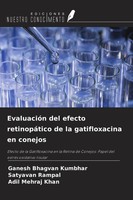 Ganesh Bhagvan Kumbhar (U. A.) | EvaluacióN Del Efecto RetinopáTico De La...