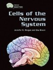 Cells of the Nervous System by Ona Bloom, Jennifer Morgan (Hardback, 2005)