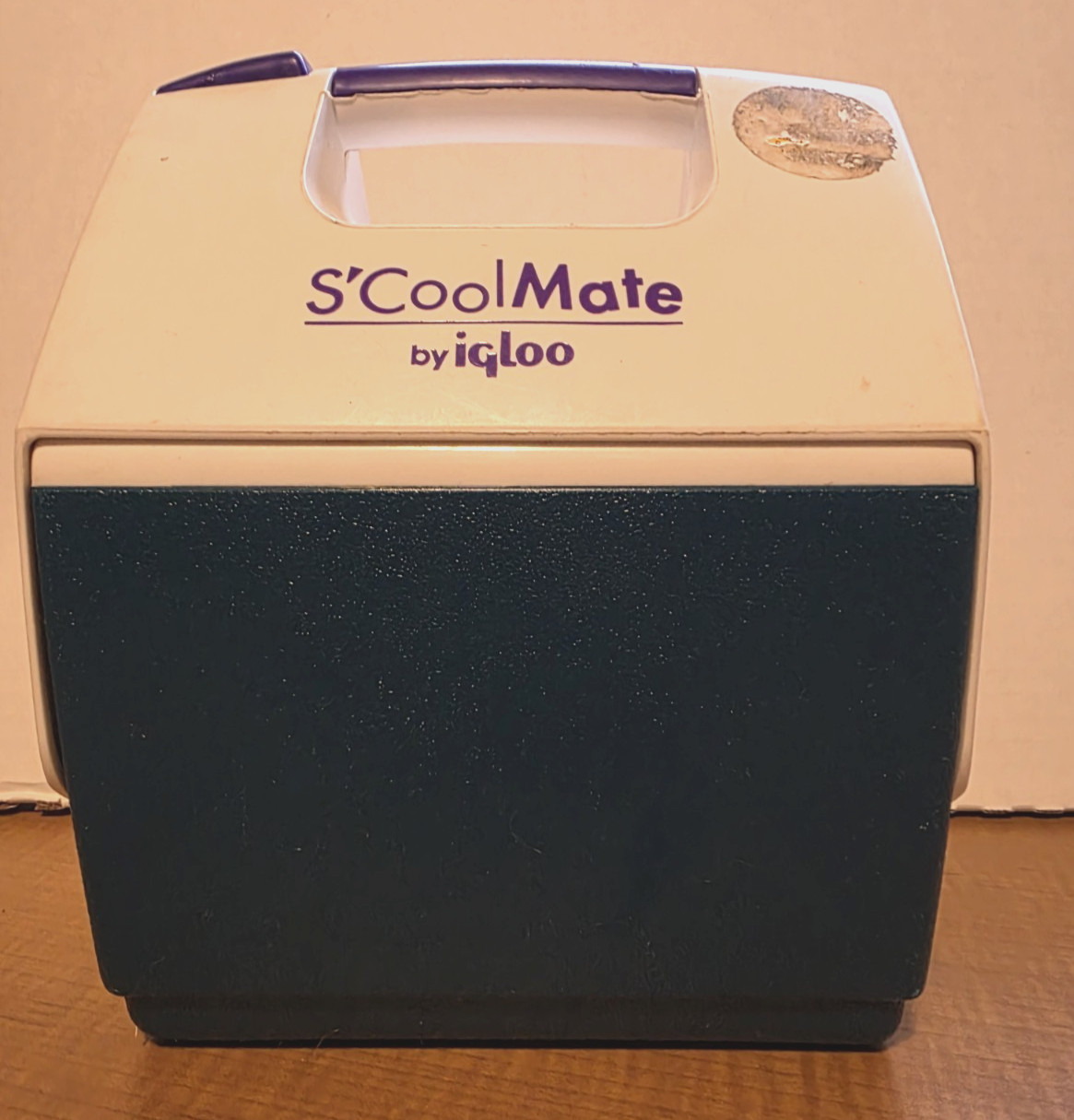 Cooler Hard Side Green Purple Handle Small