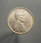 1909 Lincoln Wheat Penny Philadelphia Mint