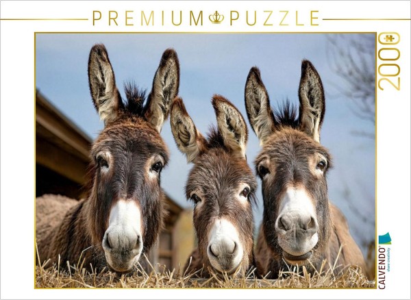 Calvendo Puzzle The Three Of Us From The Farm | 2000 Pieces, Finished Size 35.4-image