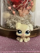 🌸Petshop CHIEN Boxer Chiot