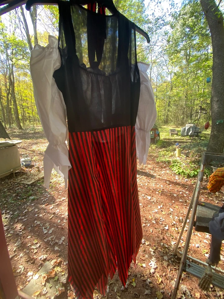 Foro Pirata Doncella Bucanero Belleza Swashbuckler Halloween Disfraz... Foto 4 de 4