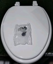 Mainline Basic Elongated Molded Wood Seat - White ML1400TTA000