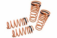 For 84-87 Toyota Corolla AE86 Megan Racing Lower Lowering Coilovers Springs Set